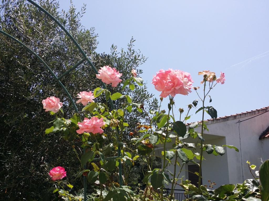 Villa Helena Kavos Luaran gambar